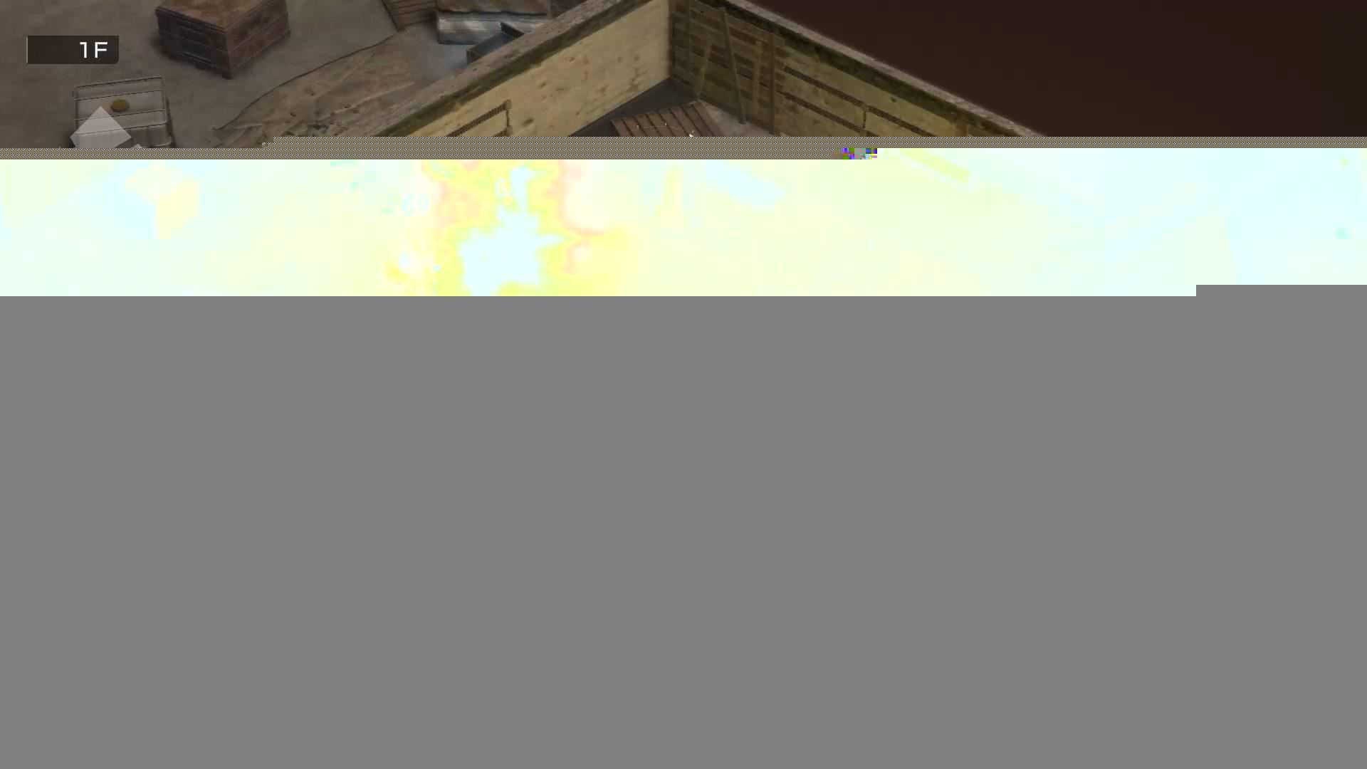 重装机犬 | METAL DOGS