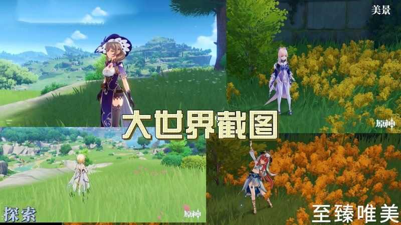 网单原神V4.0单机版 免虚拟机带剧情任务+GM工具及使用视频教程 网游单机