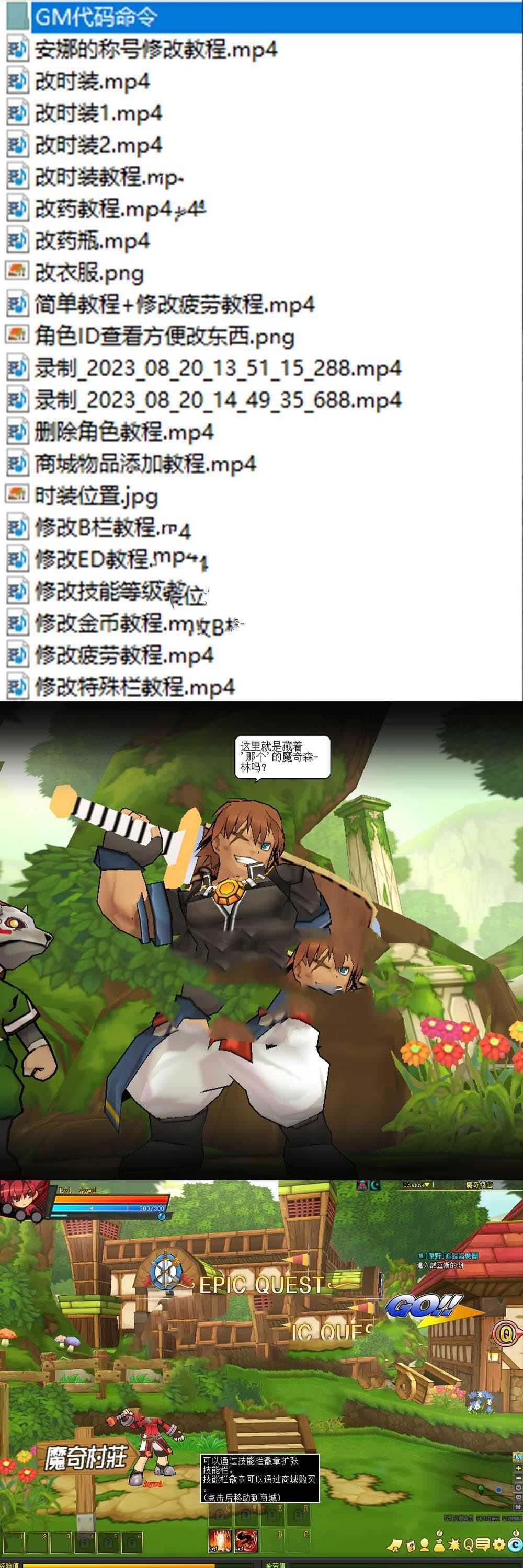 亲测网单【艾尔之光】单机版70级版本 亲测视频安装教学 虚拟机网游单机 修改视频集