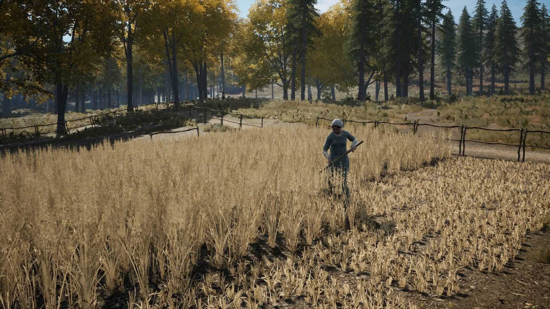 中世纪王朝 | Medieval Dynasty