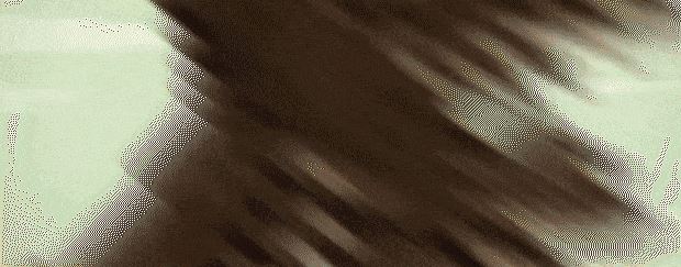 大江湖之苍龙与白鸟 | The World Of Kong Fu