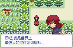 宝可梦-去吧洛基亚汉化版