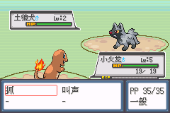 口袋妖怪(精灵宝可梦) -超级白金光