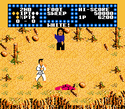 空手道冠军/猛龙过江(fds)