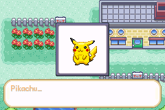 口袋妖怪(精灵宝可梦)  黄复刻版