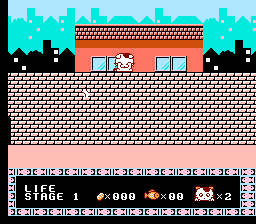 猫咪大冒险(fds)