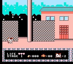 猫咪大冒险(fds)