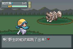 宝可梦 水晶复刻汉化版