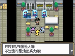 精灵宝可梦(口袋妖怪) 绝对金心 1.33