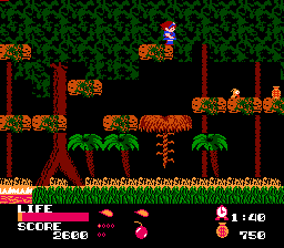 瓦德那森林(fds)