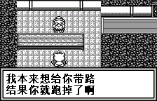 陆行鸟不可思议的迷宫【汉化1.0】