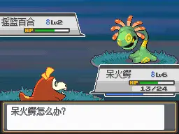 精灵宝可梦(口袋妖怪) 绝对金心 1.33