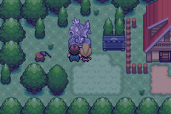 精灵宝可梦 黑暗崇拜v3.8汉化版