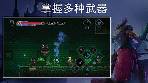 埃尔德兰德（大量货币）