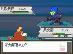 精灵宝可梦(口袋妖怪) 绝对金心 1.33