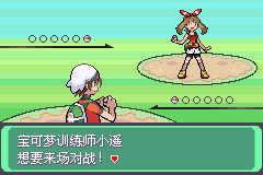 宝可梦 究极绿宝石V5.5：失落之古迹