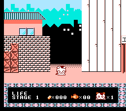 猫咪大冒险(fds)