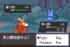 精灵宝可梦 超级黑暗崇拜【汉化版】