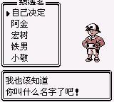 精灵宝可梦：银[美版大字体汉化1.1]