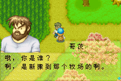 矿石镇男孩版汉化修正版