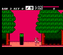 巴姆救亲记(fds)