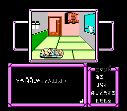 那金大冒险(fds)