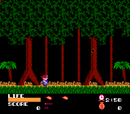 瓦德那森林(fds)