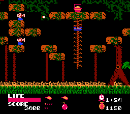 瓦德那森林(fds)