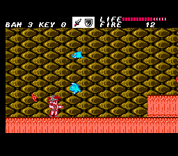 巴姆救亲记(fds)