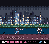 忍者龙剑传暗影 DX【狸克汉化】