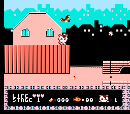 猫咪大冒险(fds)