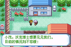 宝可梦 究极坎纳冉