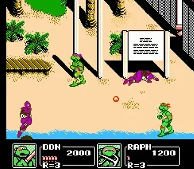 Teenage Mutant Ninja Turtles III - The Manhattan Project (USA)