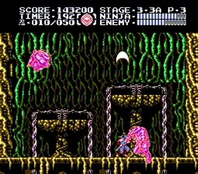 忍者龙剑传3 - 黄泉方舟[Peacock Wang汉化](JP)[ACT](2Mb)