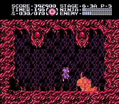 忍者龙剑传3 - 黄泉方舟[Peacock Wang汉化](JP)[ACT](2Mb)