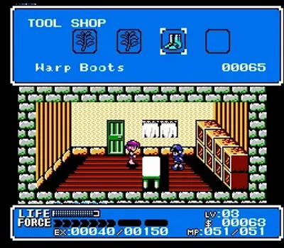 Crystalis (USA, Europe) (SNK 40th Anniversary Collection)