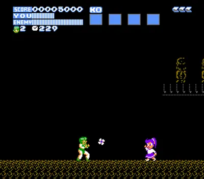 Flying Dragon - The Secret Scroll (USA)