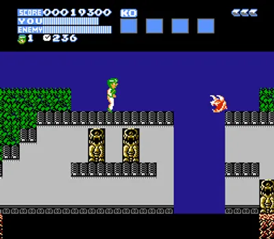 Flying Dragon - The Secret Scroll (USA)