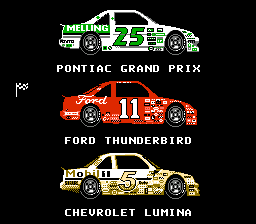 比尔·艾略特的纳斯卡挑战赛