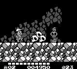 高桥名人之冒险岛3【狸克汉化】