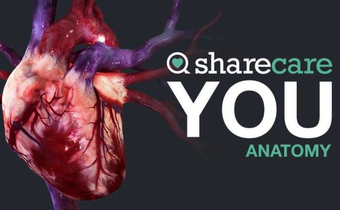 器官解刨学- Oculus Quest游戏