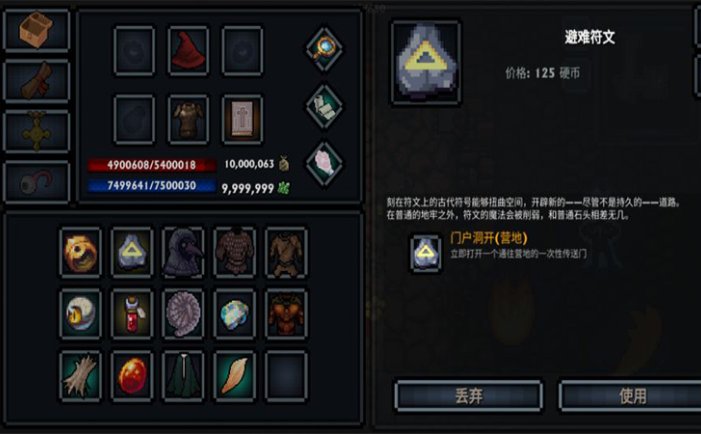 口袋盗贼：中文终极版