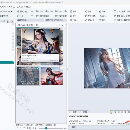 看图软件 | Ashampoo Photo Commander v19.0.4 精简安装版