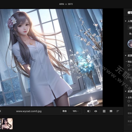人像智能修饰软件 | Skylum Aperty v1.6.0.1544 中文绿色便携版