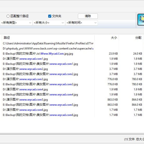 极速文件搜索工具 | WizFile v3.15中文绿色版