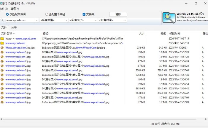 极速文件搜索工具 | WizFile v3.15中文绿色版